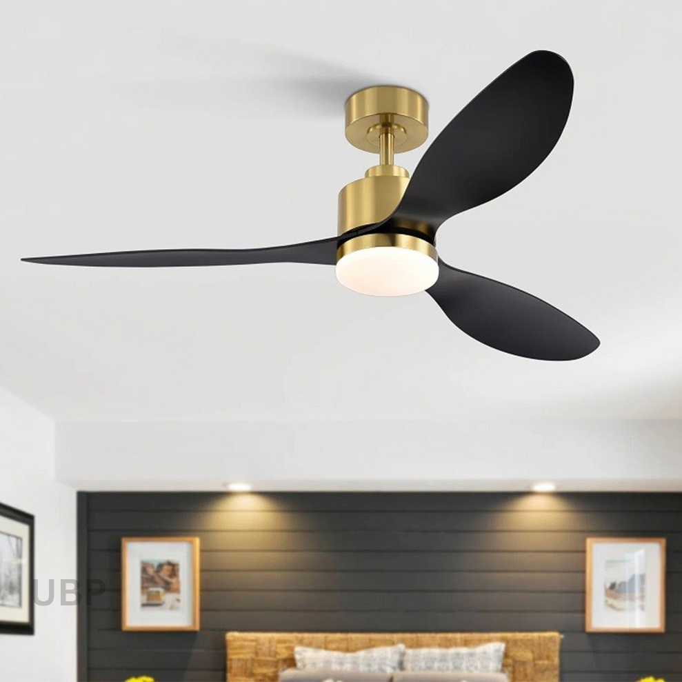 Ceiling Fan Installation