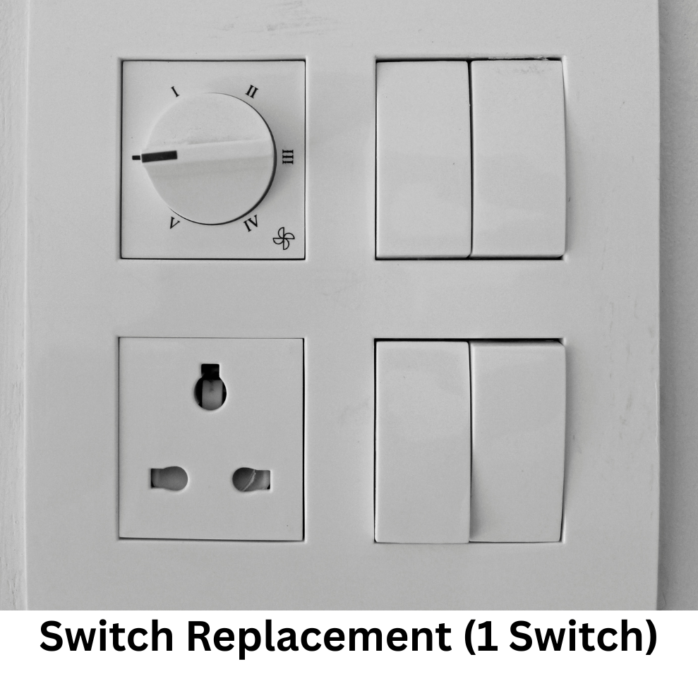 Switch Replacement (1 Switch)